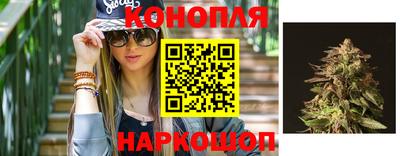 прущие грибы Абинск