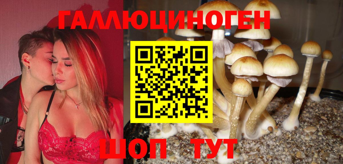 Псилоцибиновые грибы Magic Shrooms Алатырь